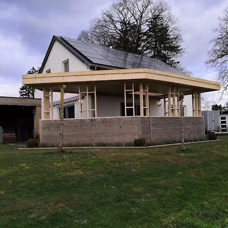 In Nadrin With Garden * Filly